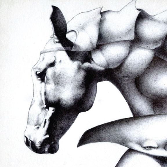 Ball Point Pen Drawing of a Horse Bust