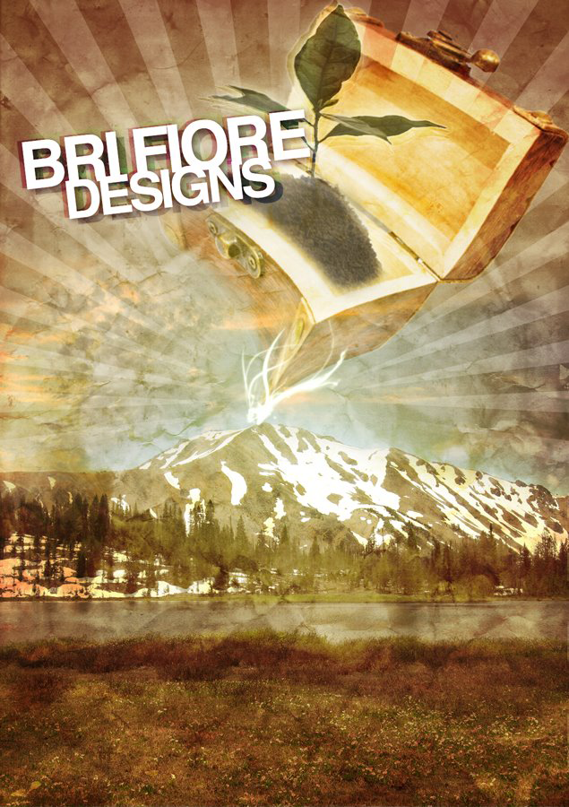 Bri Fiore Designs Flyer